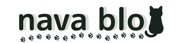 navablog